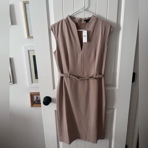 NWT Ann Taylor Dress
